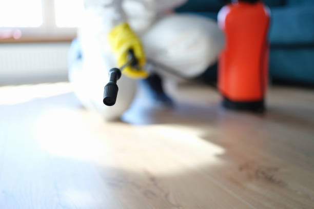 Best Mold Prevention Services  in Morgantown, WV