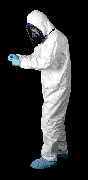 Best Crawl Space Mold Remediation  in Morgantown, WV